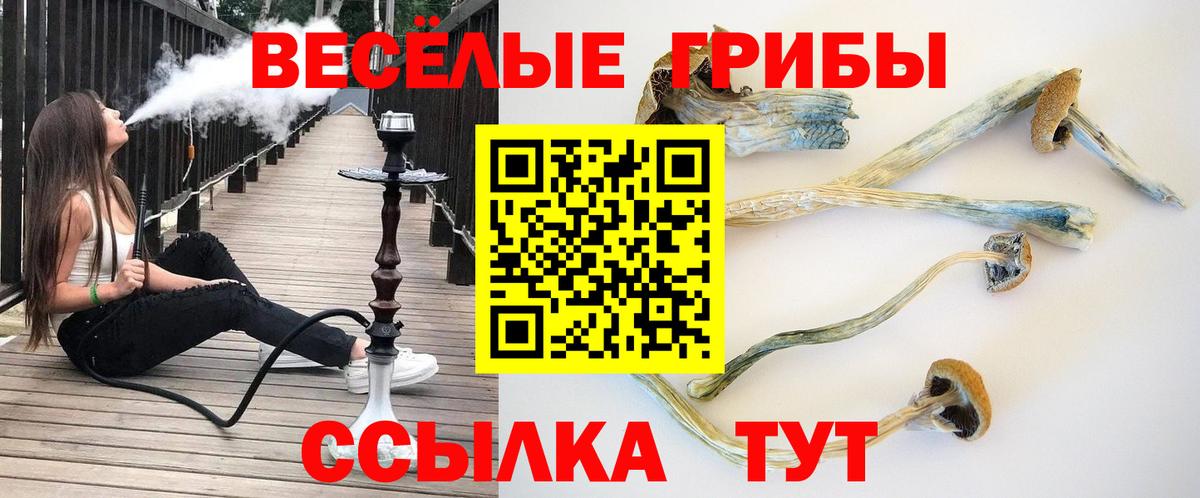 Галлюциногенные грибы мицелий  Вход с VPN  Ленинск-Кузнецкий 
